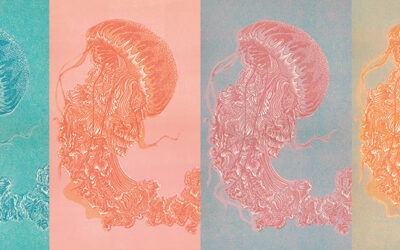 Ausstellung: „jellyfish dreams.“